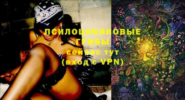 герыч Алексеевка