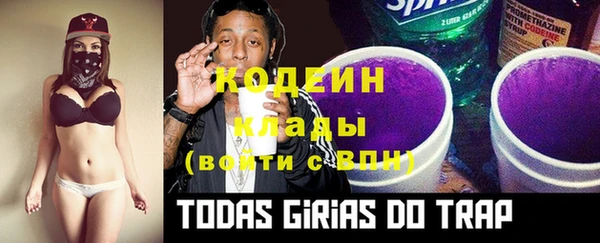тгк Корсаков