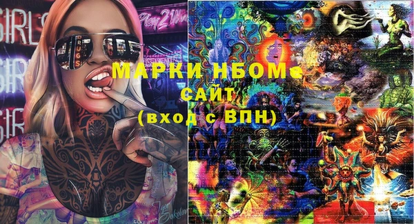прущие грибы Абинск