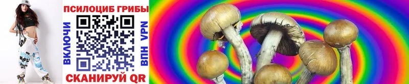 Псилоцибиновые грибы Psilocybine cubensis  даркнет сайт  Шахты 