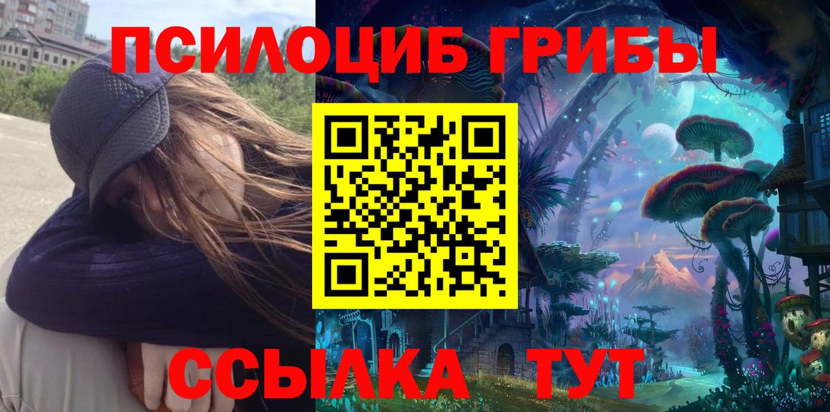 Шахты  Псилоцибиновые грибы прущие грибы  Вход с VPN 