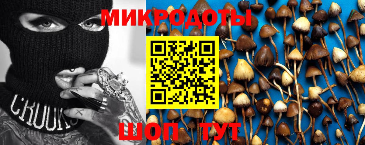 Галлюциногенные грибы Magic Shrooms Шахты